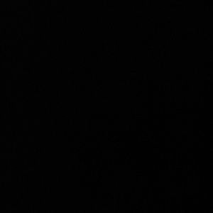 Meet your Posher, Brant